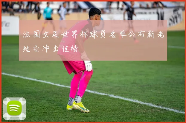 法国女足世界杯球员名单公布新老结合冲击佳绩