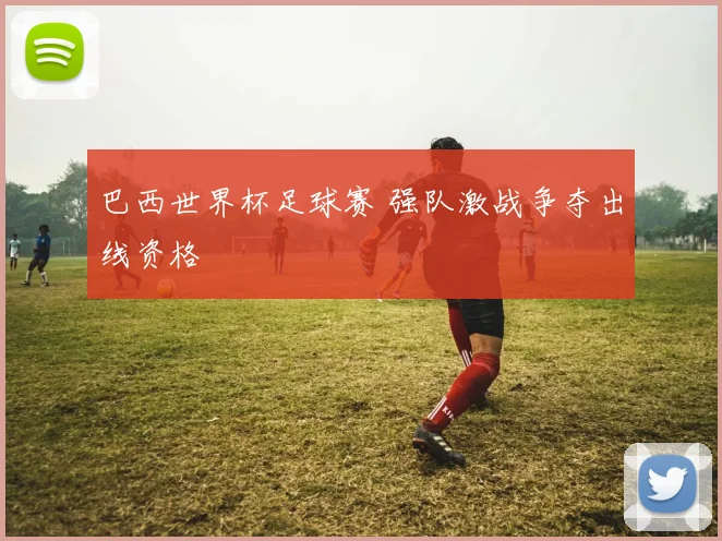 巴西世界杯足球赛 强队激战争夺出线资格