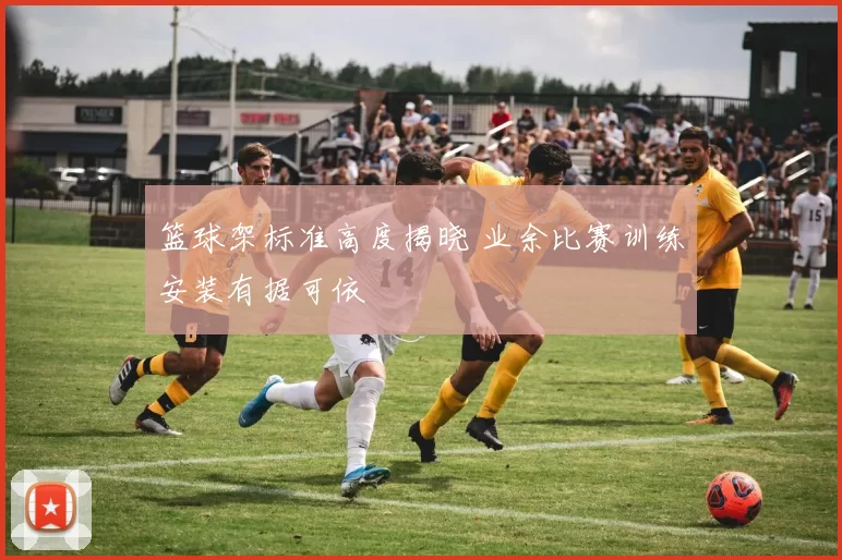 篮球架标准高度揭晓 业余比赛训练安装有据可依