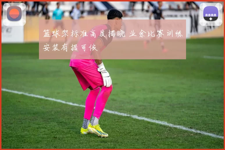 篮球架标准高度揭晓 业余比赛训练安装有据可依